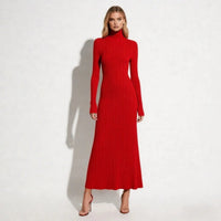 Elegant Knit Midi Dress with Turtleneck and Pleated Skirt
