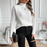 Relaxed Turtleneck Sweater with Ribbed Raglan Sleeves