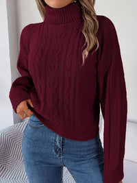 Rich Cable Knit Turtleneck Sweater with Puff Sleeves