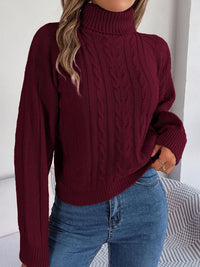 Cosy Cable Knit Turtleneck Sweater with Puff Sleeves